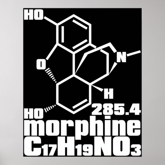 morphine ポスター (正面)