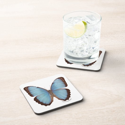 Morphoの青い蝶 コースター (右側)