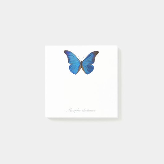 Morpho青いRhetenorの手塗りの蝶 ポストイット (正面)