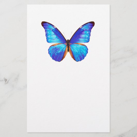 “Morpho”の優良製品 便箋 (正面)