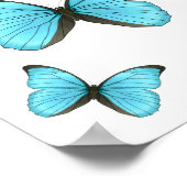 Morpho butterflies cartoon illustration  ポスター (角)