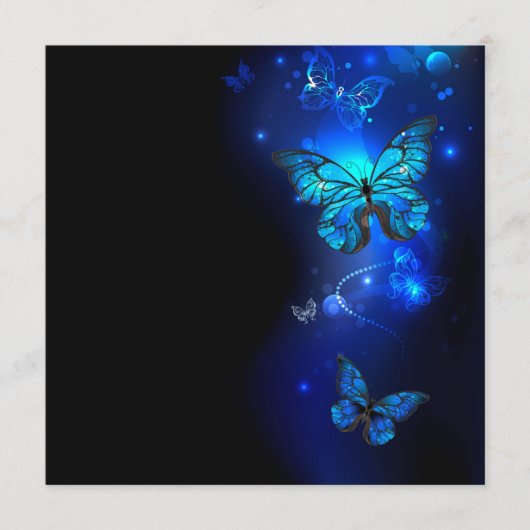 Morpho Butterfly in the Dark Background プログラム (正面)