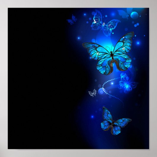 Morpho Butterfly in the Dark Background ポスター (正面)