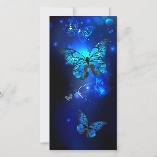 Morpho Butterfly in the Dark Background 案内状 (正面)