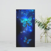 Morpho Butterfly in the Dark Background 案内状 (スタンド正面)