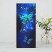 Morpho Butterfly in the Dark Background 案内状 (スタンド正面)