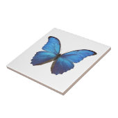 MORPHO DIDIUS D タイル (側面)