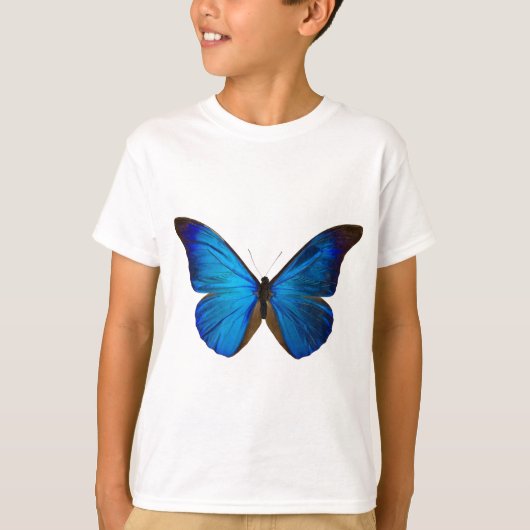 MORPHO RHETENOR D Tシャツ (正面)