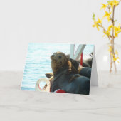 Morro湾のシール カード (黄色い花)