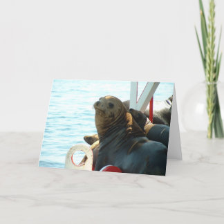 Morro湾のシール カード