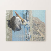 Morro湾のペリカン ジグソーパズル (横)