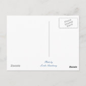 Morro湾旅行郵便はがき ポストカード (裏面)