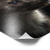 Mortimer "Morty" Quick - Pine Marten - フォトプリント (角)