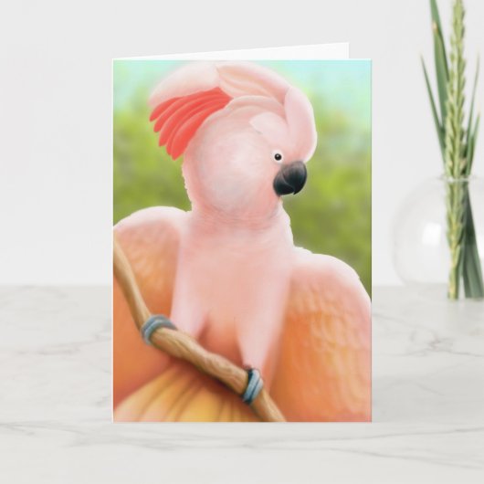 Moruccan Cockatoo Greeting Card カード (正面)