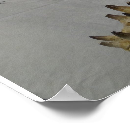 Mosasaurポスター ポスター (角)