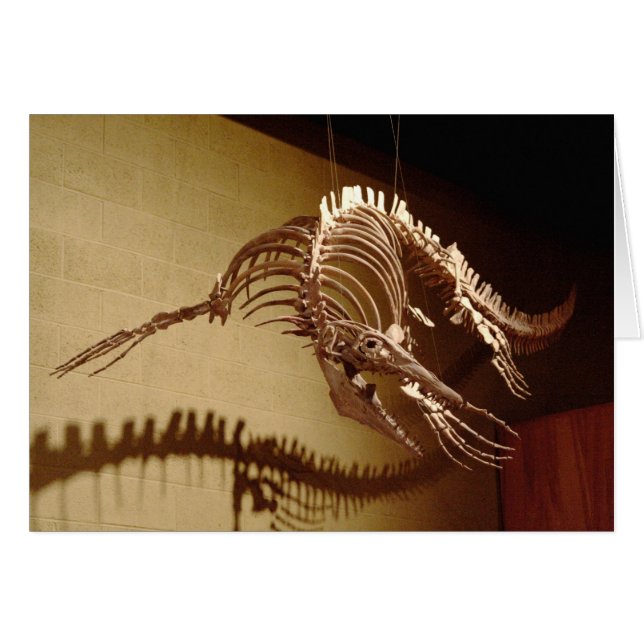 Mosasaur - "海トカゲ" (正面横)