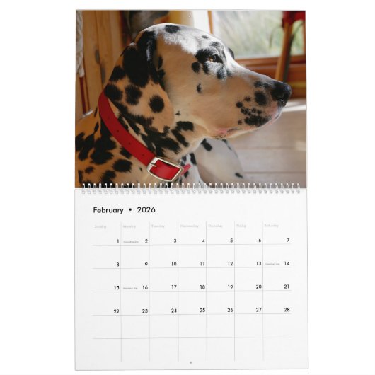 MoseおよびTyのカレンダー2019年 カレンダー (2月 2026)