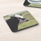 Moseleigh、アルバータ、カナダ コースター (左側)