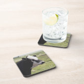 Moseleigh、アルバータ、カナダ コースター (右側)