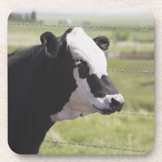 Moseleigh、アルバータ、カナダ コースター (正面)