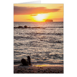 Mosqueraの小島の日没