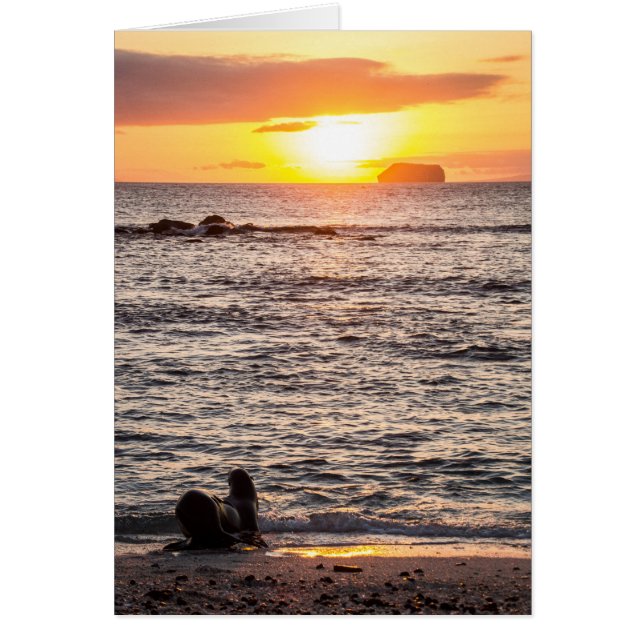 Mosqueraの小島の日没 (正面)