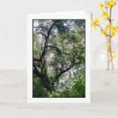 Mossキャノピーグリーティングカード カード (黄色い花)