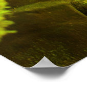 Moss and Stone – Hungarian Falls, Upper Peninsula ポスター (角)