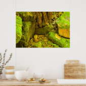 Moss and Stone – Hungarian Falls, Upper Peninsula ポスター (キッチン)