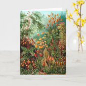 Moss (Muscinae) by Haeckel氏 カード (黄色い花)