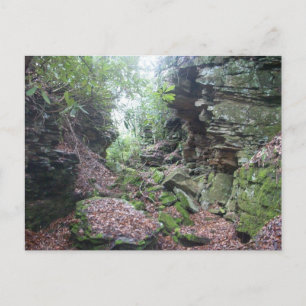 Moss on Rocks大きい石in Mercer County WV ポストカード