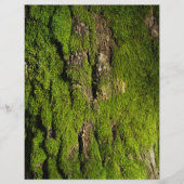 Moss on tree bark scrapbook paper (正面)