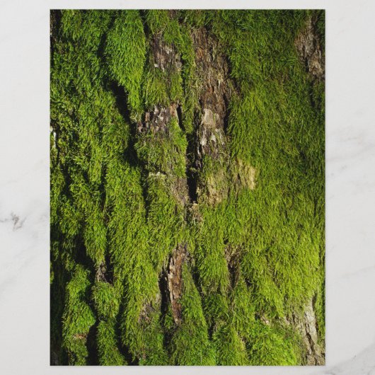 Moss on tree bark scrapbook paper (正面)