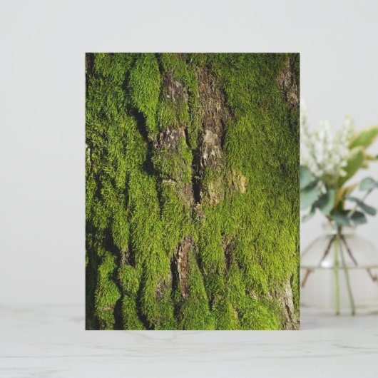 Moss on tree bark scrapbook paper (スタンド正面)