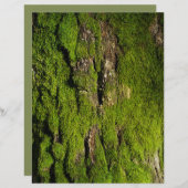 Moss on tree bark scrapbook paper (正面/裏面)