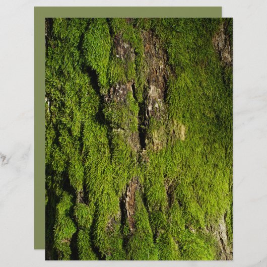 Moss on tree bark scrapbook paper (正面/裏面)