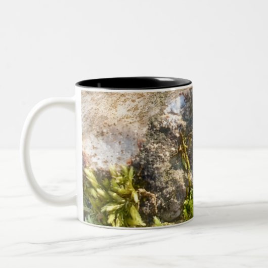 Moss Rock Mug  ツートーンマグカップ (左)