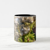 Moss Rock Mug  ツートーンマグカップ (中央)