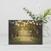 Moss Tree Path 素朴 String Lights日付の保存 セーブザデート (スタンド正面)