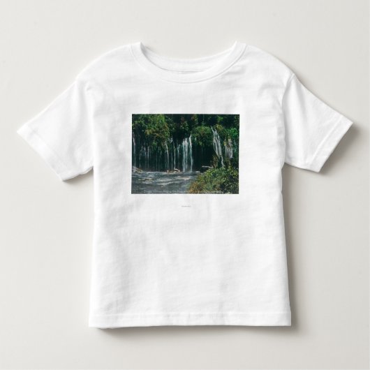 Mossbrae FallsShastaの春の眺め、カリフォルニア トドラーTシャツ (正面)