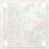 Mosses, Muscinae Laubmoose著Ernst Haeckel著 ガラスコースター (裏面)