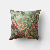 Mosses, Muscinae Laubmoose著Ernst Haeckel著 クッション (裏面)