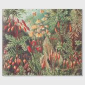 Mosses, Muscinae Laubmoose著Ernst Haeckel著 ラッピングペーパー (フラット)
