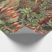 Mosses, Muscinae Laubmoose著Ernst Haeckel著 ラッピングペーパー (角)