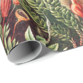 Mosses, Muscinae Laubmoose著Ernst Haeckel著 ラッピングペーパー (ロールコーナー)