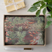 Mosses, Muscinae Laubmoose著Ernst Haeckel著 薄葉紙 (ギフト)