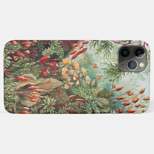 Mosses, Muscinae Laubmoose著Ernst Haeckel著 Case-Mate iPhoneケース (裏面(横))
