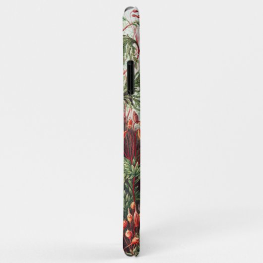 Mosses, Muscinae Laubmoose著Ernst Haeckel著 Case-Mate iPhoneケース (裏面/右)