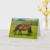 Mossfellsbaer Icelandic Horse カード (黄色い花)