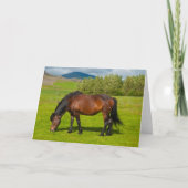 Mossfellsbaer Icelandic Horse カード (正面)